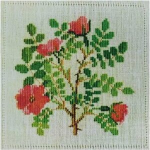 HF, Rosa Moyesii, Broderikit