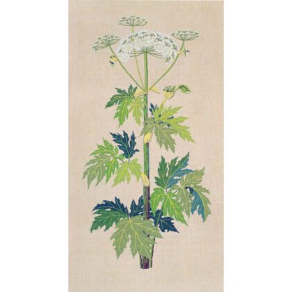 30-3260-Bjoerneklo-vaegstykke-Gerda-Bengtssonjpg