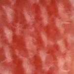 Flora_Wool_8129