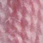 Flora_Wool_8151