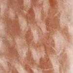 Flora_Wool_8175