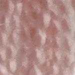 Flora_Wool_8224