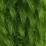 Flora_Wool_8344