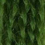 Flora_Wool_8346