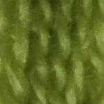Flora_Wool_8419