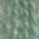 Flora_Wool_8426