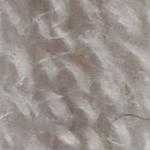 Flora_Wool_8509