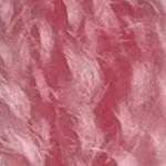Flora_Wool_8816