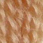 Flora_Wool_8846