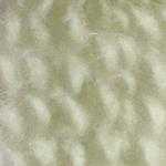 Flora_Wool_8871
