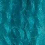 Flora_Wool_8946