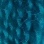 Flora_Wool_8948