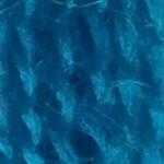 Flora_Wool_8995