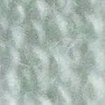 Flora_Wool_8427