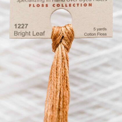 Weeks Dye Works F6-1227-BrightLeaf-Skein