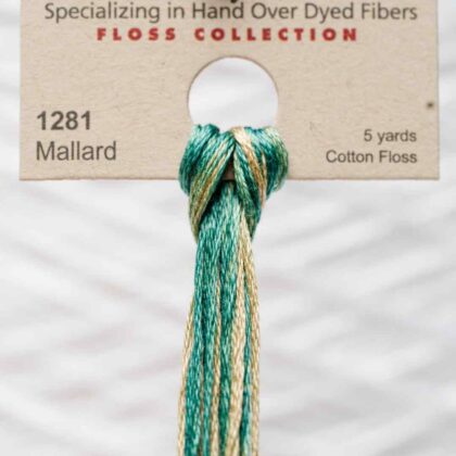 Weeks Dye Works F6-1281-Mallard-Skein