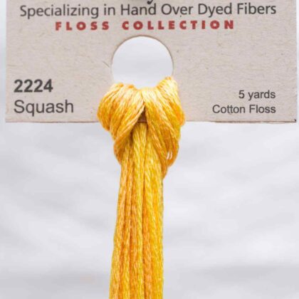 Weeks Dye Works F6-2224-Squash-Skein