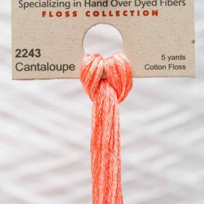 Weeks Dye Works F6-2243-Cantaloupe-Skein