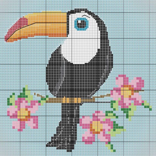 Tille's Tucan